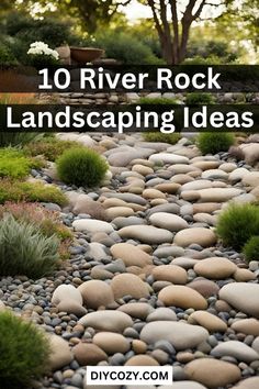 rocks and plants in the middle of a garden with text overlay that reads 10 river rock landscaping ideas