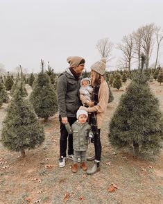 a family standing in front of christmas trees at the tree farm with their toddler