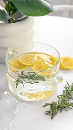 a glass bowl filled with lemon slices next to some herbs and a potted plant