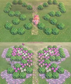 two different views of the same area with flowers and plants in it, one is pink