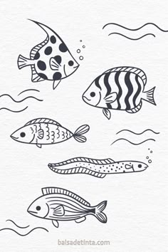 four different types of fish swimming in the water