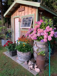 a garden shed with potted plants and flowers in the front yard, next to a dog statue