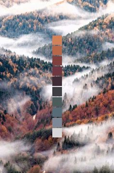 an aerial view of trees and fog in the mountains with color swatches on them