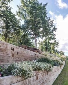 a wooden retaining wall with plants growing on it