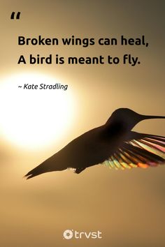 a bird flying through the air with a quote on it