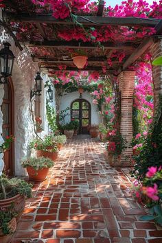 an outdoor walkway with potted plants and flowers on the wall, surrounded by brick pavers