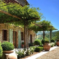 an outdoor area with potted plants and stone buildings in the background, surrounded by greenery