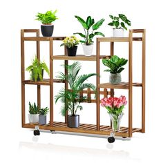 three wooden shelves with plants and flowers on them, one is filled with potted plants