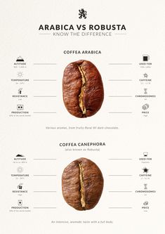 the differences between coffee and roasting beans info graphic design, graphic design, food packaging design, print advertising, coffee bean, coffee beans, roasted beans, arabica