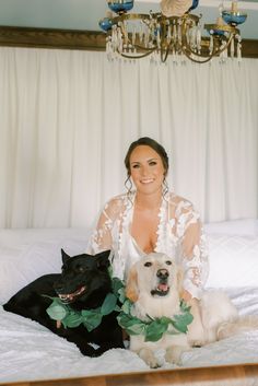 a woman sitting on top of a bed with two dogs