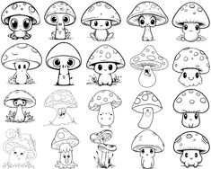 the different types of mushrooms are shown in black and white