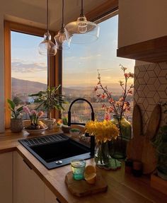 a kitchen with a stove top oven sitting next to a window filled with flowers and plants