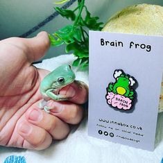 A frog next to a brain fog enamel pin featuring a brain frog drawing Chronic Illness Humor, Illness Humor, Brain Fog, Chronic Fatigue, Autoimmune Disease