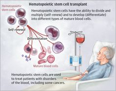 Image description not available. Cell Differentiation, Medical Mnemonics, Medical School Studying, Nursing School Notes, Stem Cell Therapy, Cell Therapy, Regenerative Medicine, Body Organs