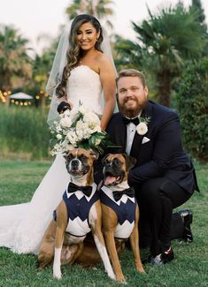 a bride and groom pose with their dogs