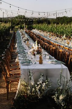 a long table is set up in the middle of an outdoor vineyard with string lights