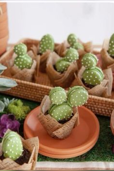 small cactus plants are in baskets on the table with plates and succulents