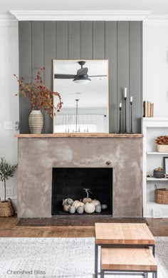 a living room filled with furniture and a fire place in front of a wall mounted mirror