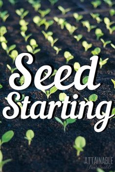 seed starting in the ground with text overlaying it that reads, seed starting