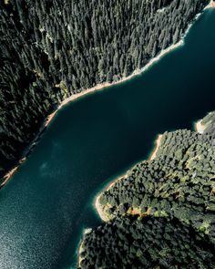 an aerial view of a lake surrounded by trees