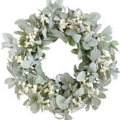 PRICES MAY VARY. 🫒[Everyday Lambs Leaves Wreath] Light green color lambs leaves combine with white cream color berries pick, the wreath is full and life looking. The greenery leaves wreath is really suitable for new seasonal home decoration. �🫒[18 Inch Spring Door Wreath] The outer diameter of this Spring door wreath measures 18 Inch, this size is well-matching and moderate, It is very suitable for your home wall, windows, doors, fireplace and outside yard decorations, and this wreath will be e Ivory Hydrangea, Lambs Ears, Burlap Ribbon Bow, Leaves Wreath, White Berries, Lambs Ear Wreath, Spring Door Wreaths, Twig Wreath, Outdoor Wreaths