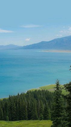 a large body of water surrounded by trees