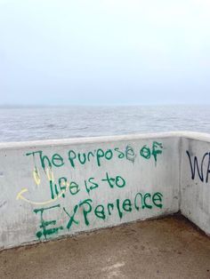 a wall with graffiti written on it near the ocean