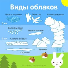 an illustrated poster showing the different types of clouds and animals in russian, english and chinese