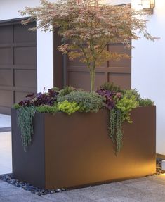 an outdoor planter with plants in it