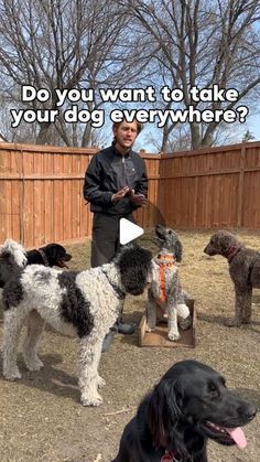 a man standing next to several dogs on top of a dirt field with the words do you want to take your dog everywhere?