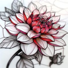 Dahlia Tattoo Vector Art Dahlia Flower Tattoos, Dahlia Tattoo, Old School Rose, Lily Flower Tattoos, Hip Thigh Tattoos, Tattoo Vector