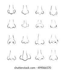 a set of different nose shapes