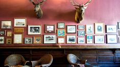 two deer heads mounted on the wall in a restaurant with chairs and pictures above them