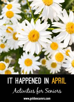 white daisies with yellow centers and the words it happened in april activities for seniors