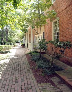 a brick sidewalk with trees and bushes in front of a house on the side walk