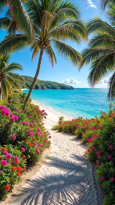 a path leading to the beach with palm trees and flowers on either side by the water