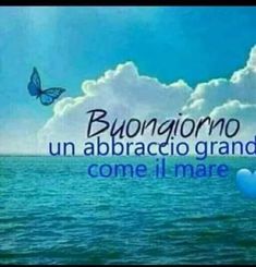 an image of the ocean with a butterfly flying in the sky and words that read,'buongigono un abraccio grande come i mare '