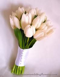 a bouquet of white tulips on a white background