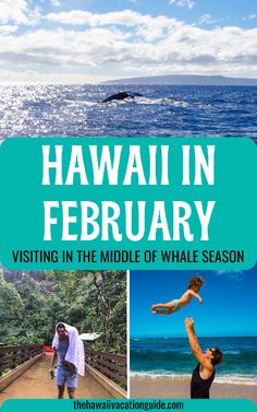 hawaii in february visiting in the middle of whale season with text overlay that reads,