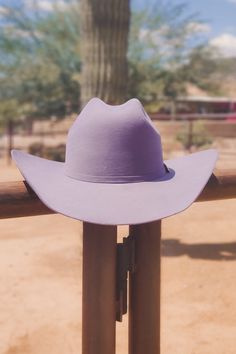 a purple cowboy hat sitting on top of a wooden rail next to a cactus tree