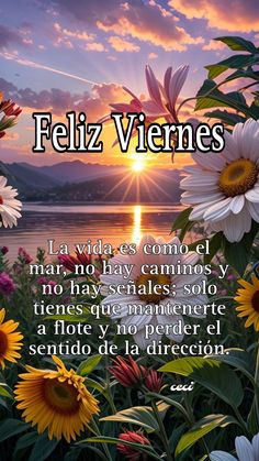 flowers with the sun setting in the background and spanish text below it that reads, feliz viernes