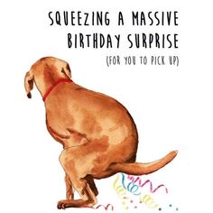 a brown dog sitting on top of a birthday cake with the words sqeezing massive birthday surprise for you to pick up