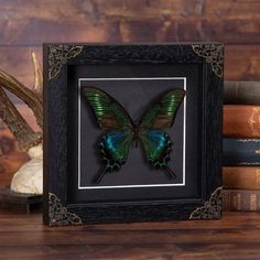 a green and blue butterfly in a black frame next to some books on a wooden table