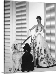 an image of a woman in a dress with two dogs