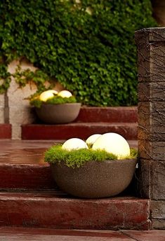 two bowls filled with eggs sitting on the steps next to some plants and bushes in front of a building