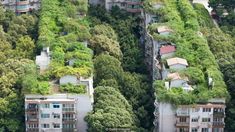 an aerial view of some buildings with trees growing on them