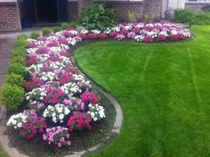 a flower bed with pink and white flowers in front of a brick house on a green lawn