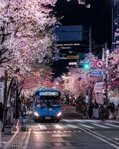 a blue bus driving down a street next to tall buildings with cherry blossoms on them