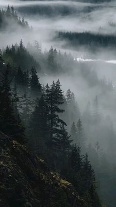 the fog is covering the trees in the mountains and valleys as they rise into the sky