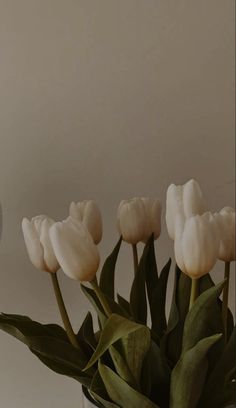 white tulips are in a glass vase on a table next to a clock